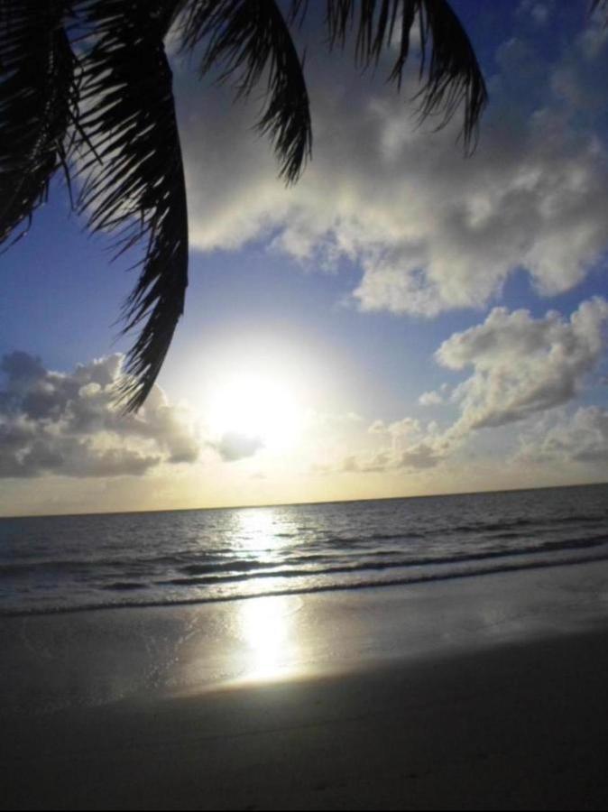 Carneiros Beach Resort - Flat Tamandaré المظهر الخارجي الصورة